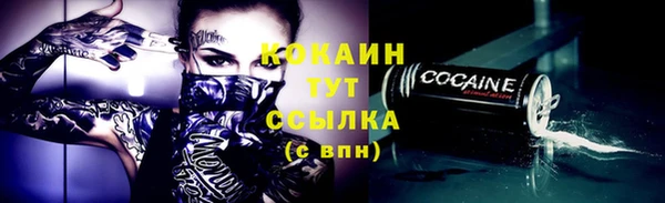ECSTASY Богданович