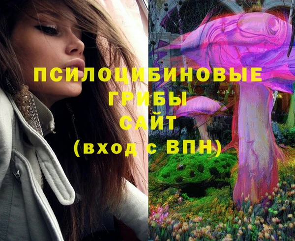 прущий лед Богородицк